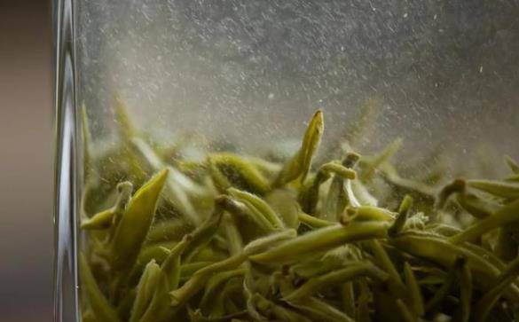 Function of  Fine Hairs (Bai Hao) in White Tea